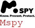Znacznik Mspy Google